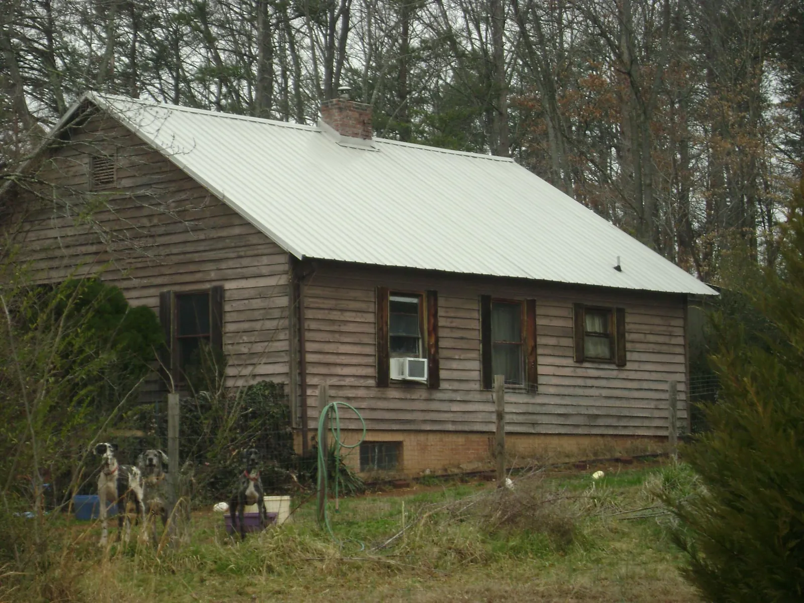 White metal roof on an old wood sided farmhouse, from a Asphalt Shingle Roof Repair job in Staley